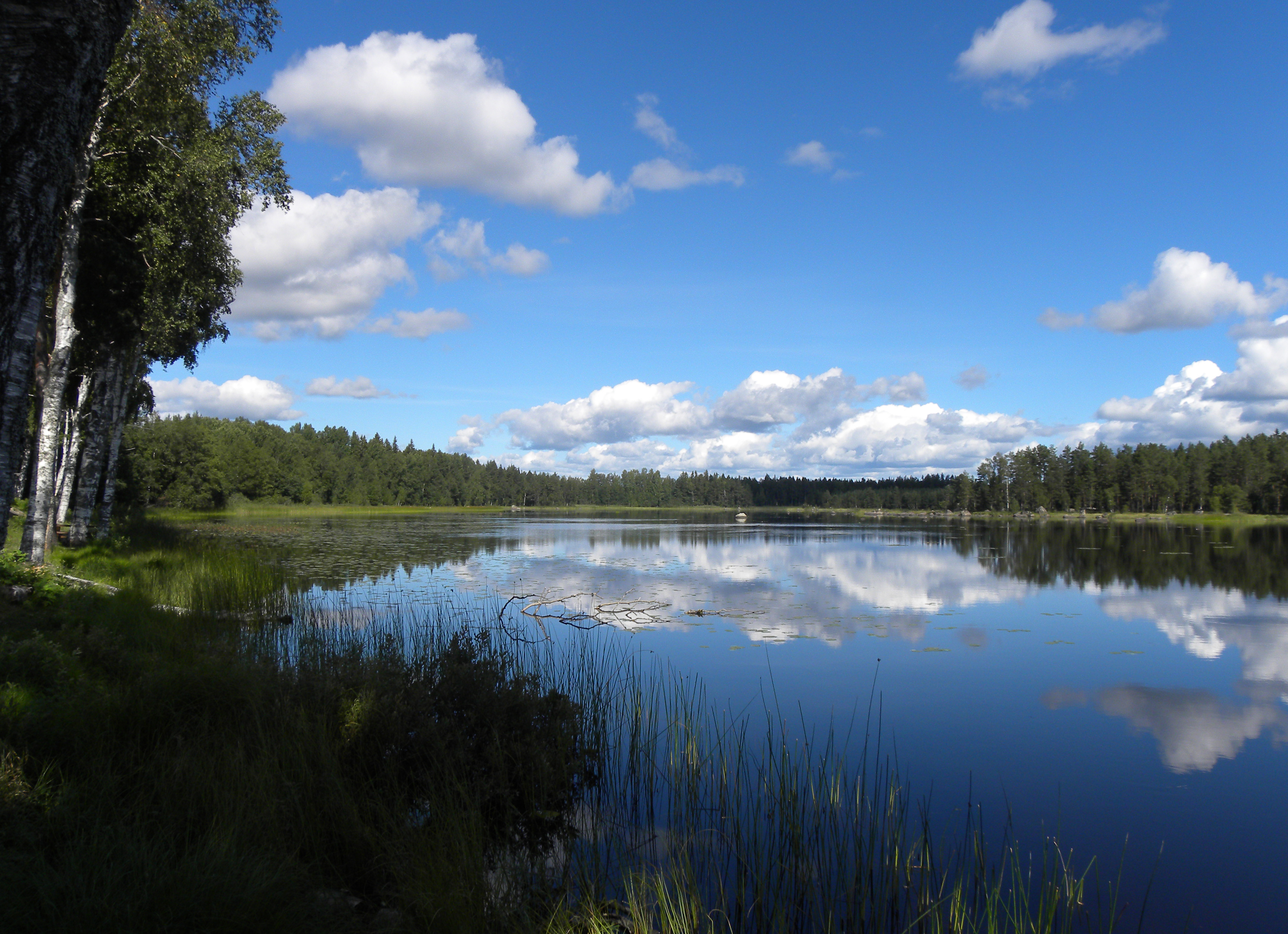 Nedre Dalälven i solljus – Mattöns Bed & Breakfast